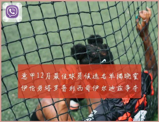意甲12月最佳球员候选名单揭晓霍伊伦劳塔罗普利西奇伊尔迪兹争夺荣誉