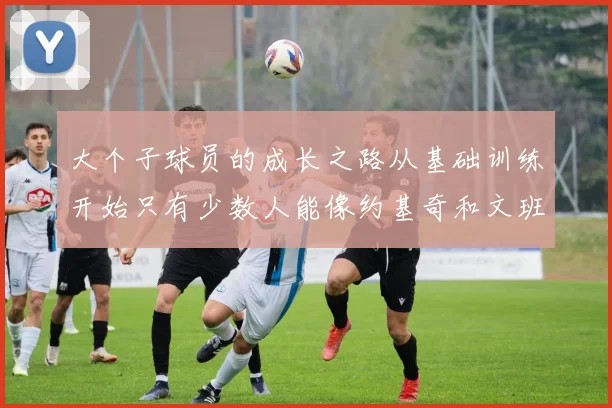 大个子球员的成长之路从基础训练开始只有少数人能像约基奇和文班那样成功